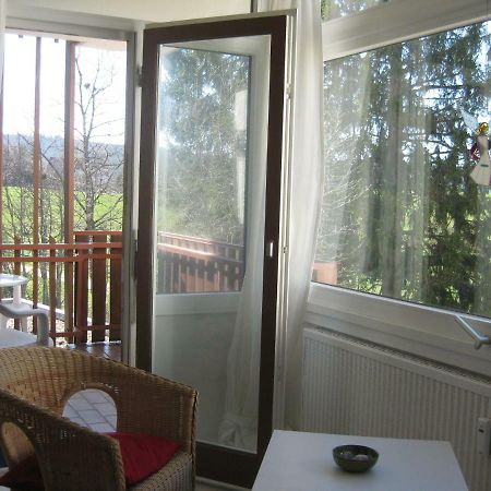 Koenigs Appartement mit Pool Schluchsee Exterior foto