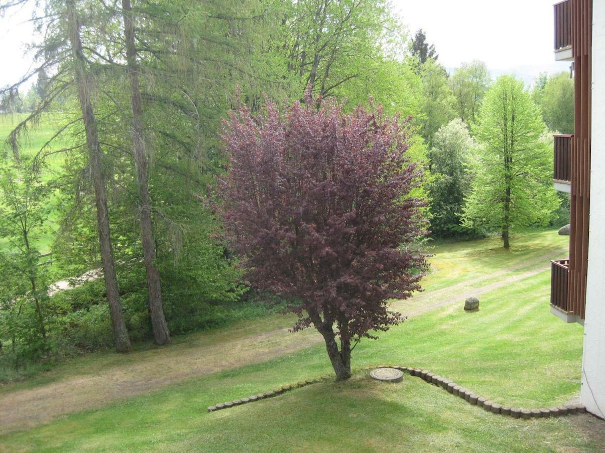 Koenigs Appartement mit Pool Schluchsee Exterior foto