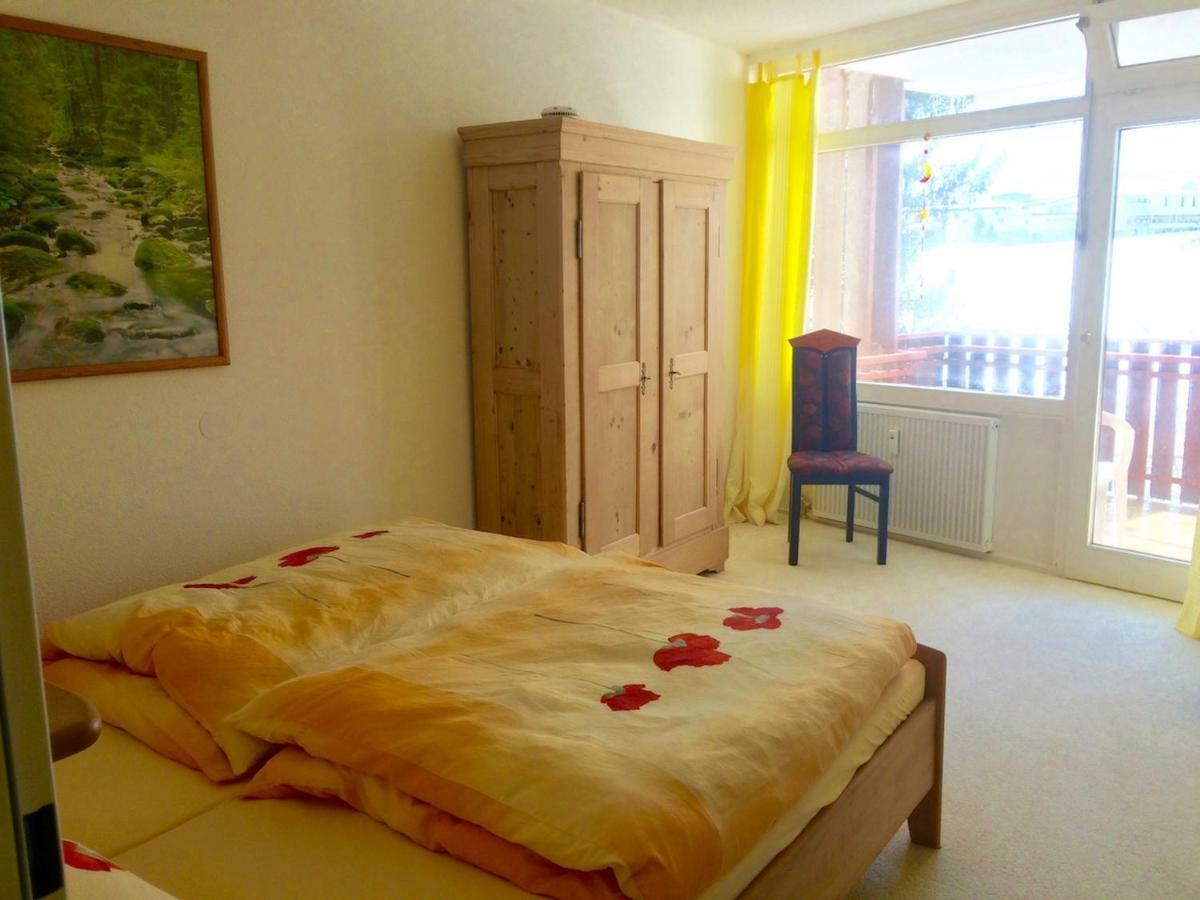 Koenigs Appartement mit Pool Schluchsee Exterior foto