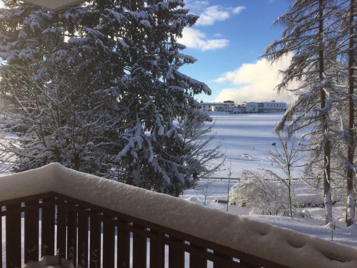 Koenigs Appartement mit Pool Schluchsee Exterior foto